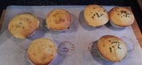 polentini muffins 4